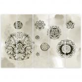 Leinwandbild 5 teilig, Florale geometrische Formen 