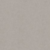 Vliestapete in Grau, Beige Betonoptik Uni Modern 