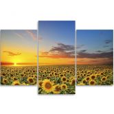 3-delige canvas print, zonnebloemen bloemenweide 