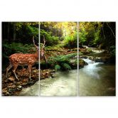 Leinwandbild 3-teilig, Deer Creek Wald 