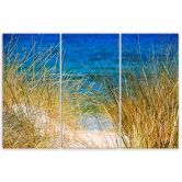 Leinwandbild 3-teilig, Gras Meer Strand 