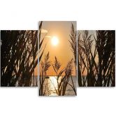 Leinwandbild 3-teilig, See Gras Sonnenuntergang 