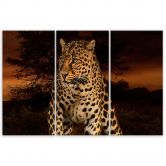 Leinwandbild 3-teilig, Leoparden-Katzen-Safari 