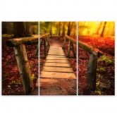 Leinwandbild 3-teilig, Herbst Wald Blätter Steg 