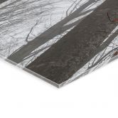 Tableau sur verre acrylique Cimes d'arbres aux feuilles rouges - Coman 