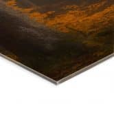 Acrylglasbild Goldene Blätter im nebligen Wald - Maier - Panorama 
