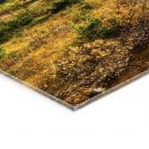 Tableau en verre acrylique Montagne idyllique dans une forêt de pins enchanteresse 