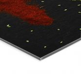 Acrylglasbild Kräuter und Gewürze auf Holzlöffel - Dingemans 