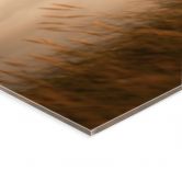 Acrylglasbild Leuchtturm an der Küste von Sylt - Eisenmann 