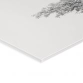 Tableau en verre acrylique Arbre minimaliste dans un paysage calme - Flour 