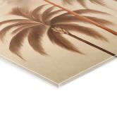 Tableau sur verre acrylique Paysage tropical avec palmiers - Haase 