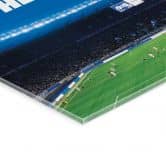 Acrylglas Hertha BSC - HaHoHe 