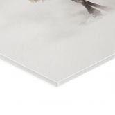 Tableau en verre acrylique Cerf dans l'hiver blanc - Magnusson 