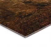 Acrylglasbild Wald im morgendlichen Nebel - Maier 
