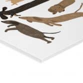 Acrylglas Verspielte Dackel - Hunde Illustration - Melin 