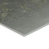 Acrylglasbild Farn im Nebelwald in Grün - Ms Tiff 