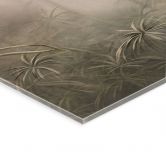 Acrylglasbild Mystischer Regenwald im Nebel - Ms Tiff 