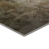 Acrylglasbild Wald mit Blick in die Baumwipfel - Ms Tiff 