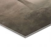Acrylglasbild Waldmagie im Morgennebel Beige - Ms Tiff 