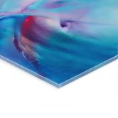 Acrylglasbild Polarlicht in Türkis und Lila - Schmucker 