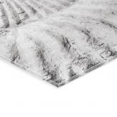 Acrylglas Fossile Muschel - Shot by Clint 