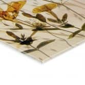 Acrylglasbild Wilde Wiesenblumen im Sonnenlicht - Talen 