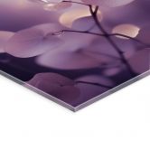 Tableau en verre acrylique Tendre orchidée en violet - Treechild 