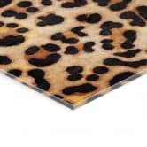 Acrylglasbild Wilder Leopard - Animal Print - Tunaboylu 