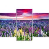 Leinwandbild 3-teilig, Lavendel Natur Blumen Lila 