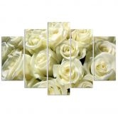 Leinwandbild 5 teilig, Weiße Rosen Blumen Natur 