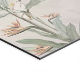 Wandbild Tropischer Wald mit Kakadus - Bloomery Decor - Alu-Dibond 