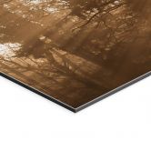 Wandbild Lichtstrahlen im Wald - Eisenmann - Alu-Dibond 