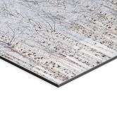 Wandbild Birkenwald im Winter - EMELIEmaria - Alu-Dibond 