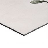 Wandbild Zarte Pflanze mit gelben Blüten - Goed Blauw - Alu-Dibond 
