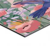 Wandbild Zwei Kolibris auf der bunten Blumenwiese - Goed Blauw - Alu-Dibond 