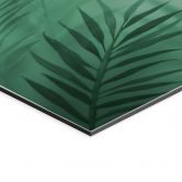 Wandbild Grüne Palmenblätter - Alu-Dibond 