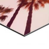 Wandbild California Dreaming mit Palmen-Blick - Hugonnard - Alu-Dibond 