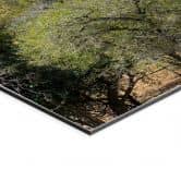 Wandbild Savannenlandschaft in Afrika - Hugonnard - Alu-Dibond 