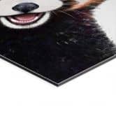 Wandbild Roter Panda - Korenkova - Alu-Dibond 