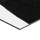 Wandbild Schwarze Katze mit Krone - Korenkova - Alu-Dibond 
