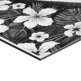 Wandbild Schwarzer Panther mit weißen Blumen - Korenkova - Alu-Dibond 