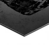 Wandbild James - Alu-Dibond - Mielu 