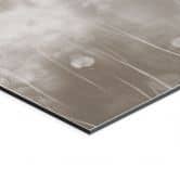 Wanddecoratie Paardenbloemen Droom in Beige - Ms Tiff - Alu-Dibond 