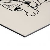 Wandbild Entspannte Katze mit Herzbrille - Royle - Alu-Dibond 