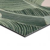 Wandbild Calathea Pflanze - Sisi & Seb - Alu-Dibond 