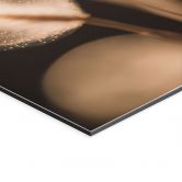 Wanddecoratie Boho grassen in gouden licht - Aluminium Dibond - Treechild 