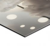 Fototapet Hvide blomster i et hav af lys - Treechild - Aluminium dibond  