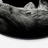 Alu-Dibond Meermann - Das Nashorn - Rund 
