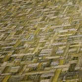 Architects Paper Vliestapete Jungle Chic Tapete in Holzoptik gelb 
