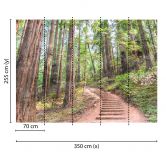 Livingwalls Fototapete Designwalls Forest Walk Wald 